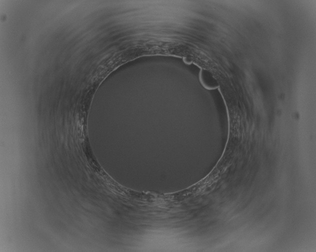 X0000073711013200608171132