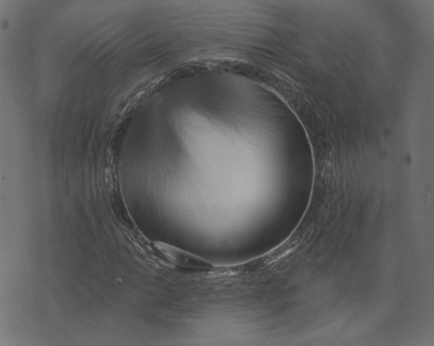 X0000073711014200608171133