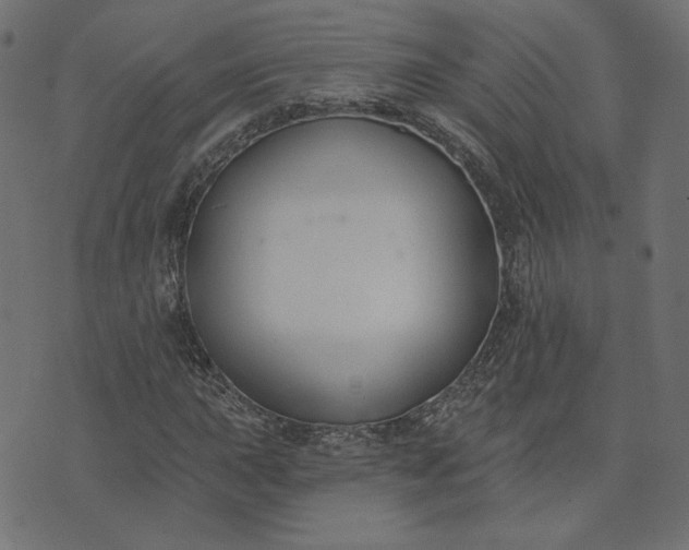 X0000073711015200608171133