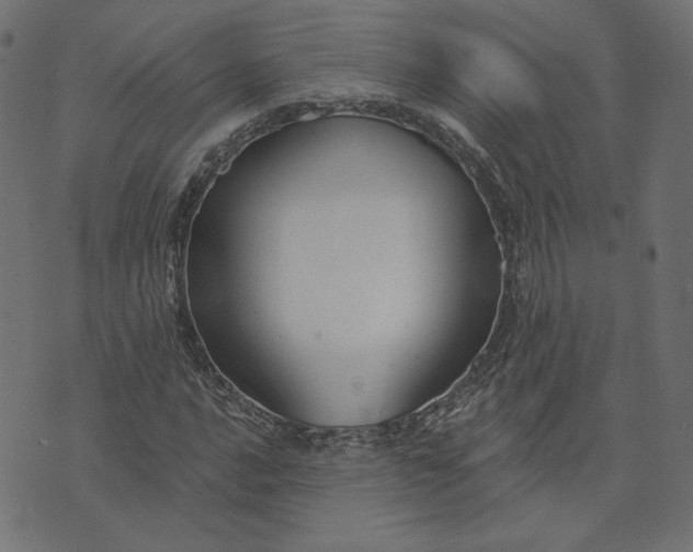 X0000073711016200608171133