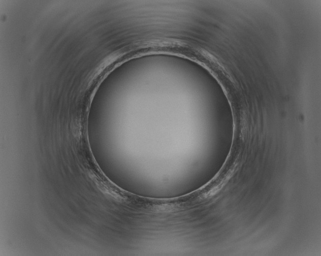 X0000073711017200608171133