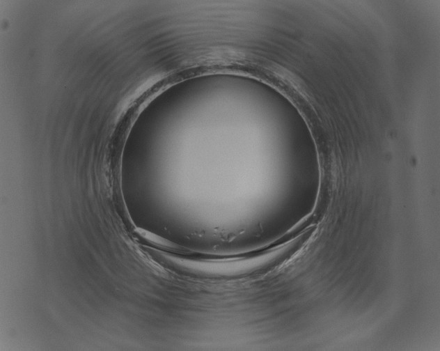 X0000073711018200608171133