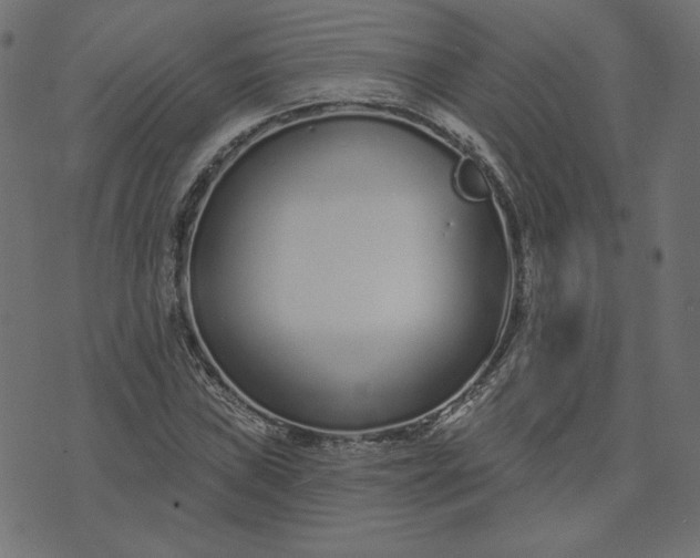 X0000073711019200608171133