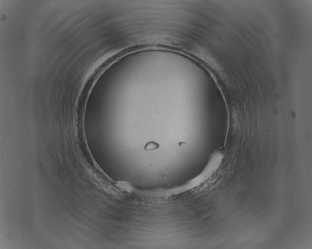 X0000073711020200608171133