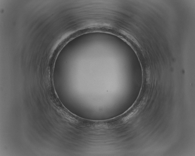 X0000073711021200608171133