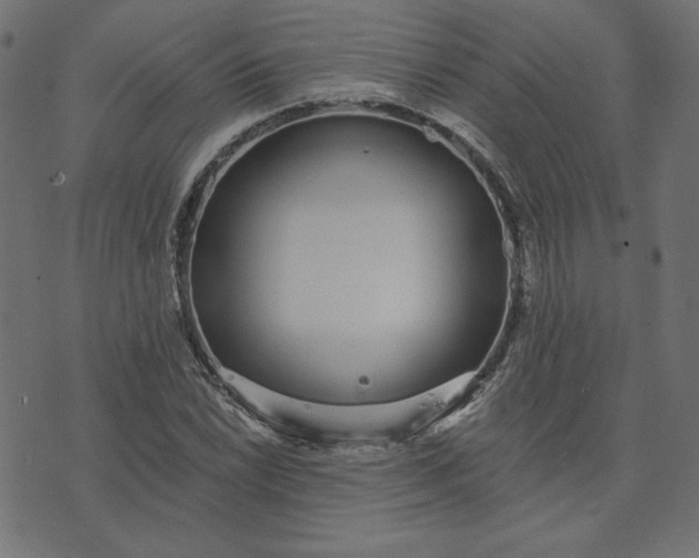 X0000073711022200608171133