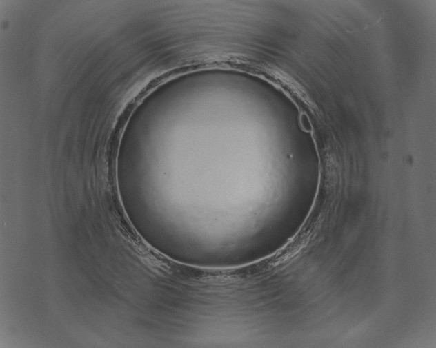 X0000073711023200608171133