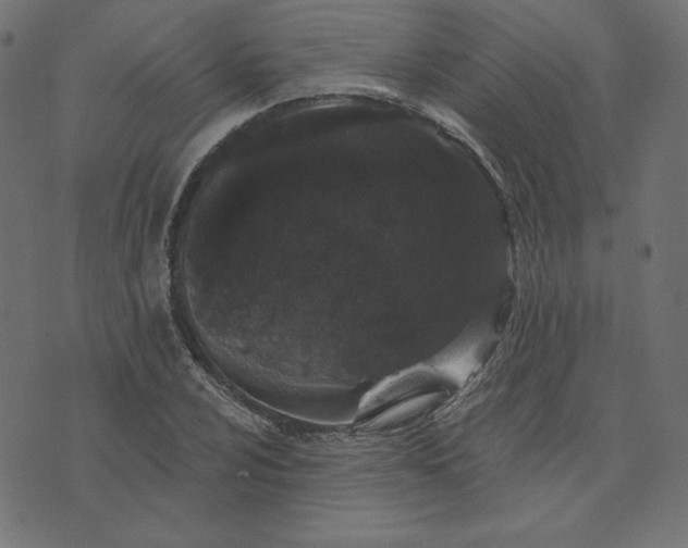 X0000073711024200608171133