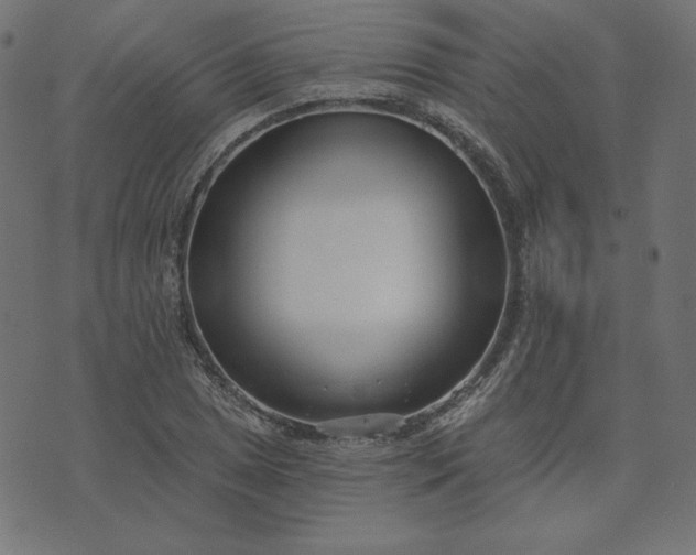 X0000073711025200608171133