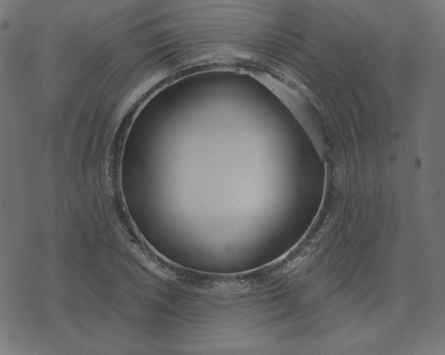 X0000073711026200608171133