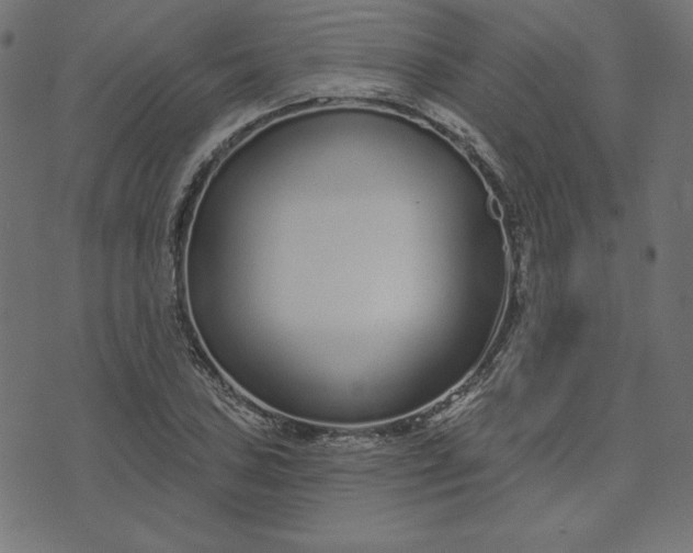 X0000073711027200608171133