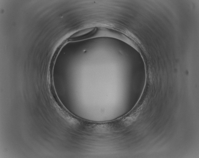 X0000073711028200608171133