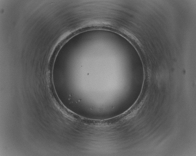 X0000073711029200608171133