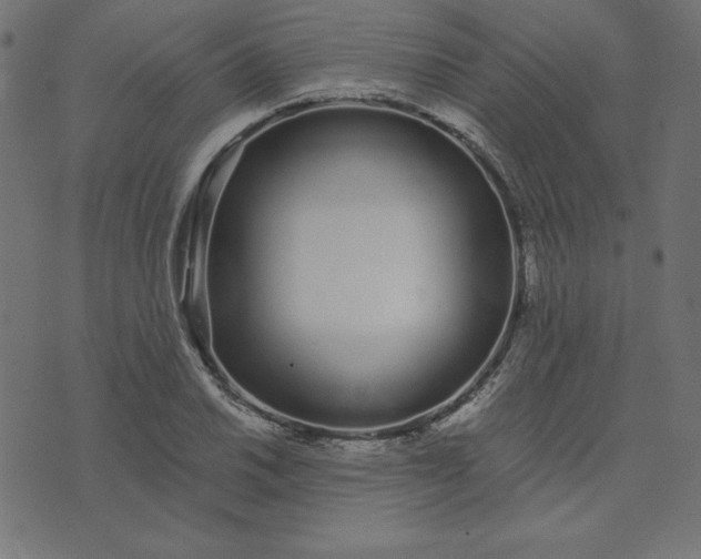 X0000073711030200608171133