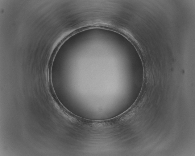 X0000073711032200608171133