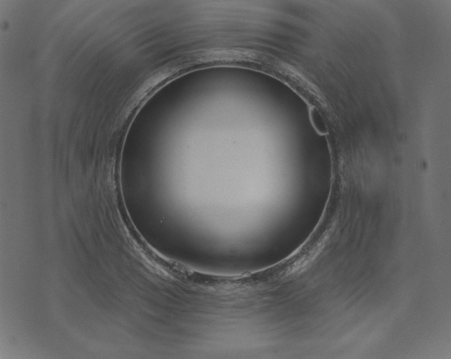 X0000073711033200608171133