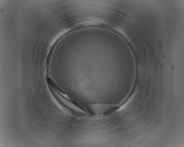 X0000073711034200608171133