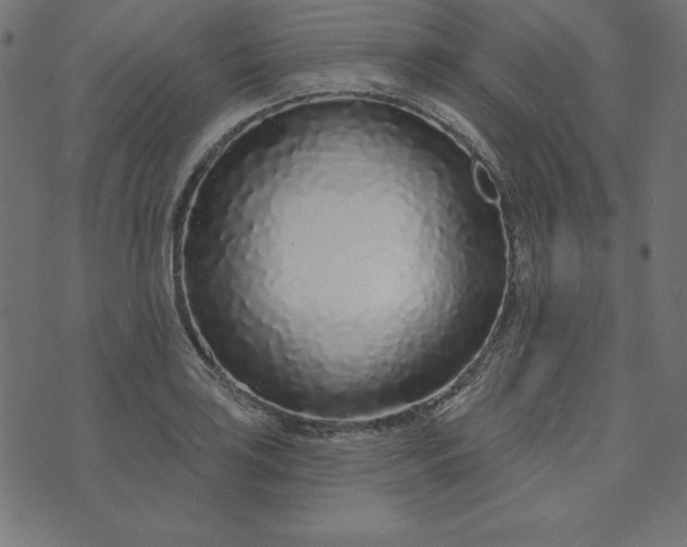 X0000073711035200608171133