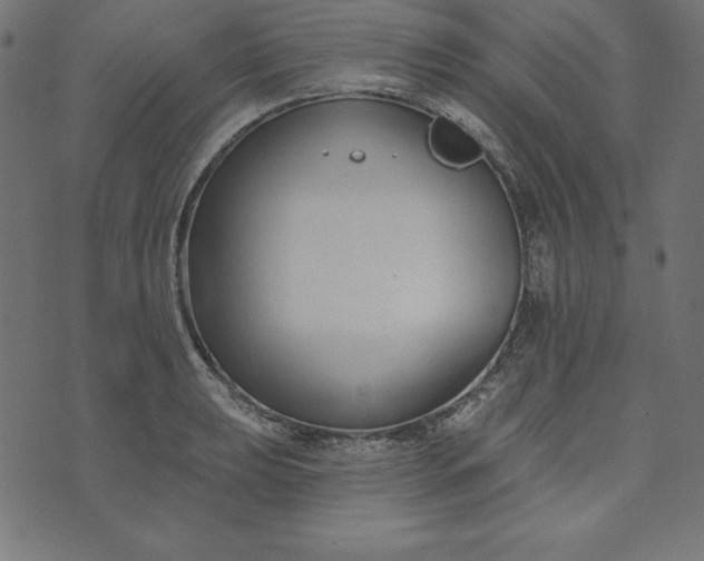 X0000073711039200608171133