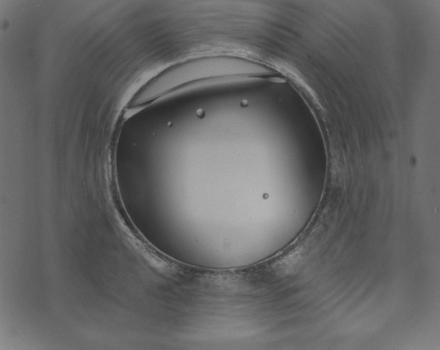 X0000073711040200608171133