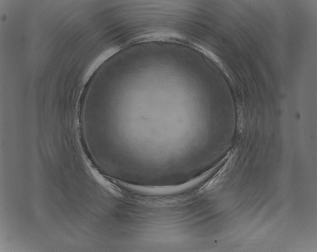 X0000073711042200608171133