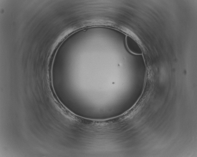 X0000073711043200608171133