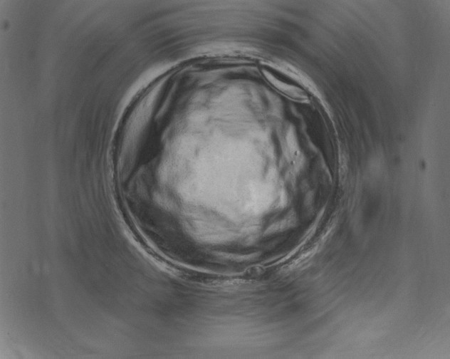 X0000073711045200608171133