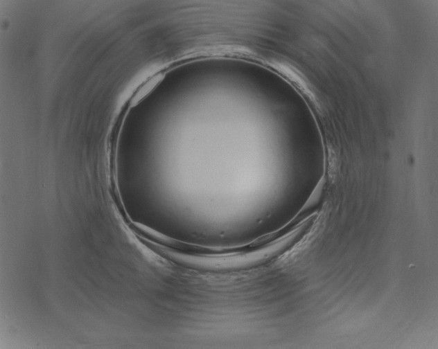 X0000073711046200608171133