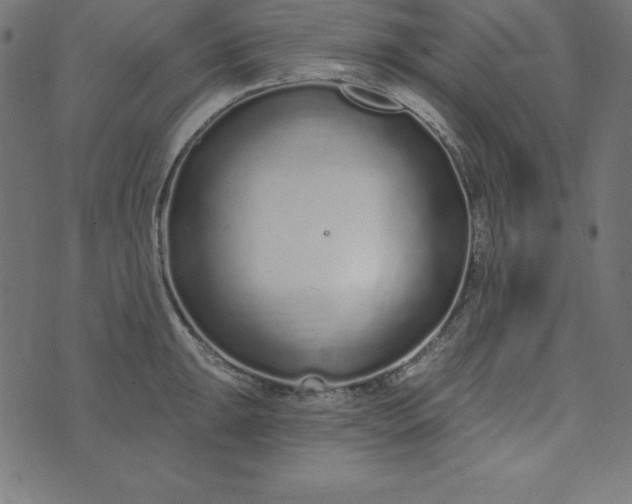 X0000073711047200608171133