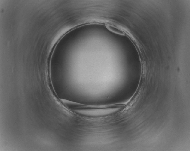 X0000073711048200608171133