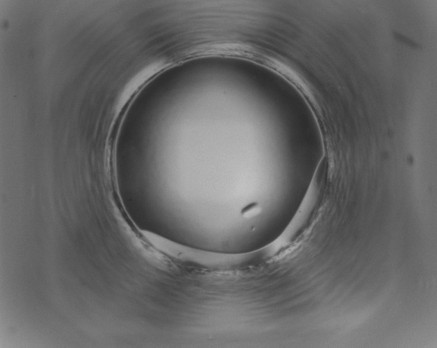 X0000073711050200608171133