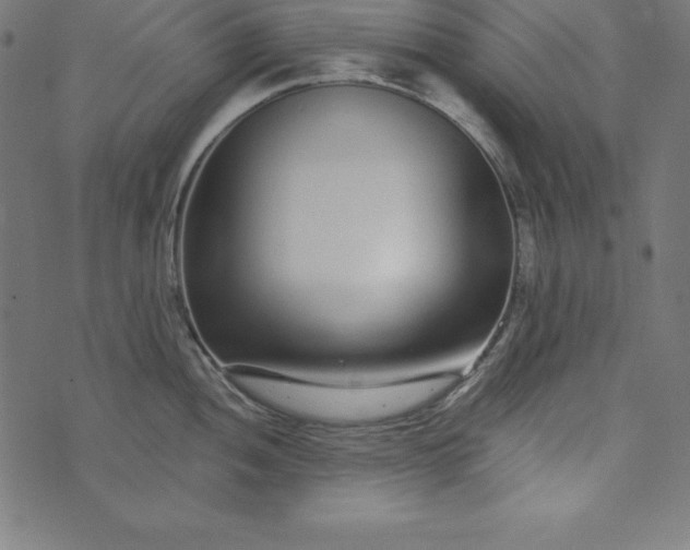 X0000073711052200608171133