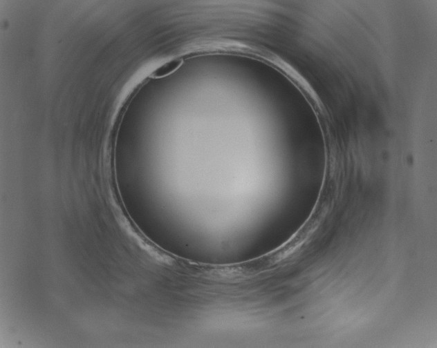 X0000073711053200608171133