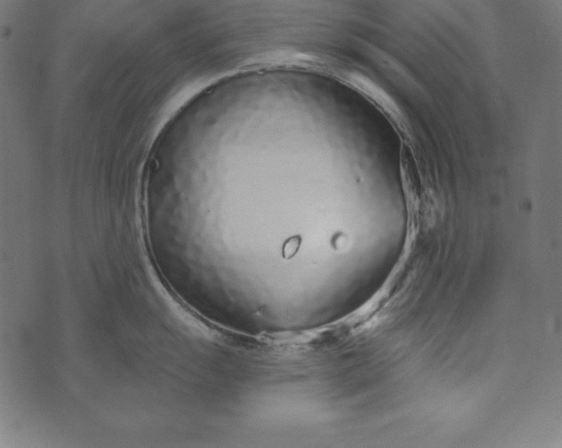 X0000073711055200608171133