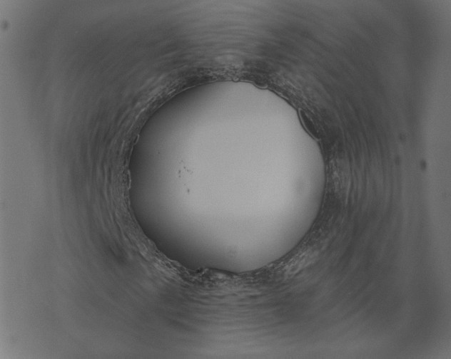 X0000073711057200608171132