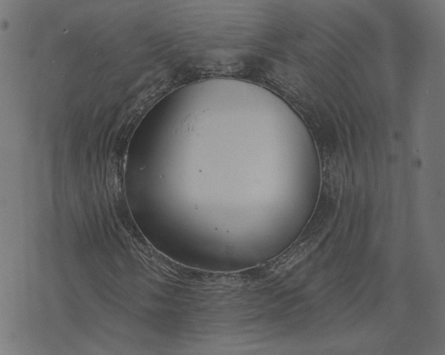 X0000073711058200608171132