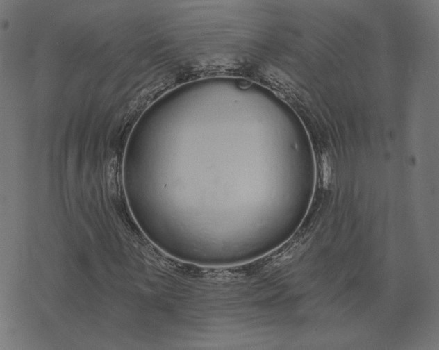 X0000073711059200608171132