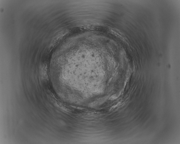 X0000073711060200608171132