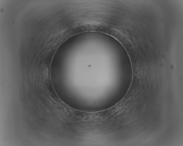 X0000073711061200608171132