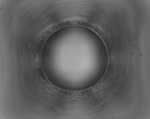 X0000073711062200608171132