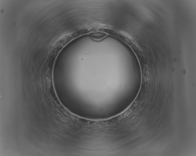 X0000073711063200608171132