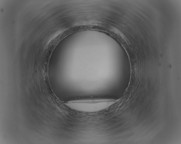 X0000073711064200608171132