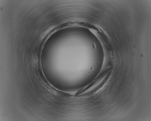 X0000073711065200608171132