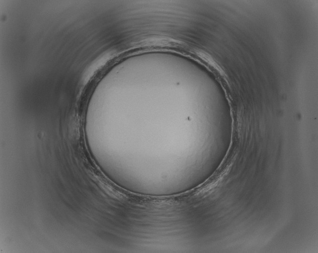 X0000073711067200608171132