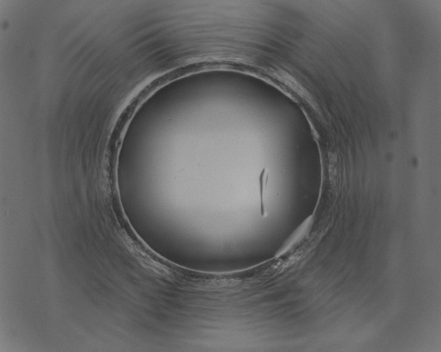 X0000073711068200608171132