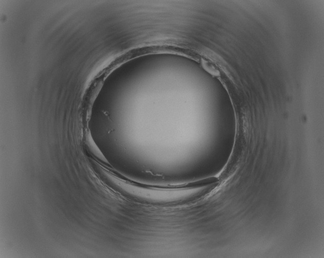 X0000073711069200608171132