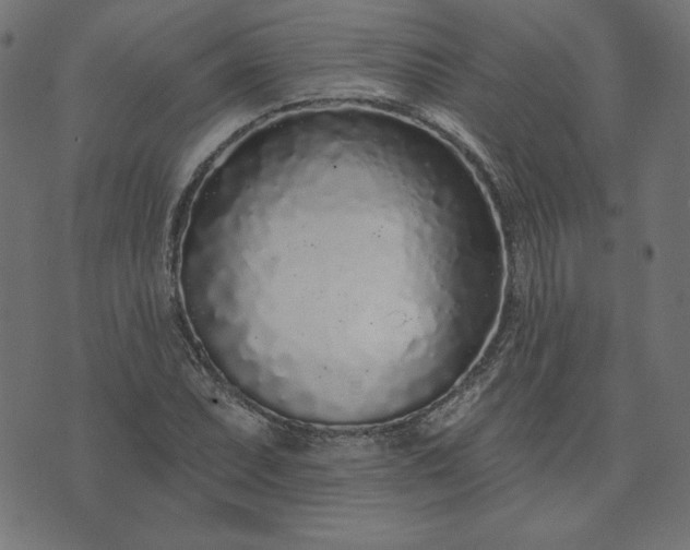 X0000073711071200608171132