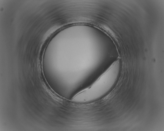 X0000073711072200608171132