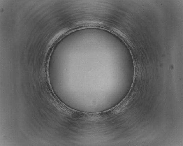 X0000073711074200608171132