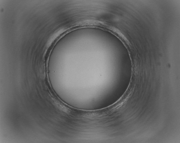 X0000073711075200608171132